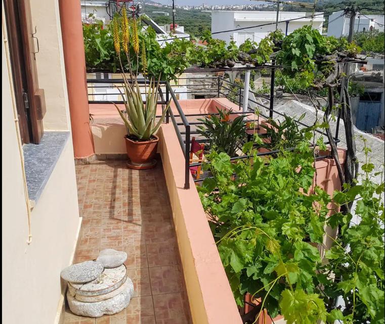 Traditional Residence With Terrace Latsida Kültér fotó